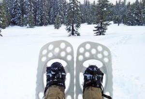 Fimbulvetr Rangr Snowshoe