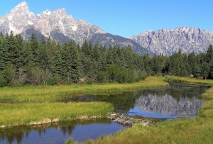 grand-teton-national-park-80548_1280