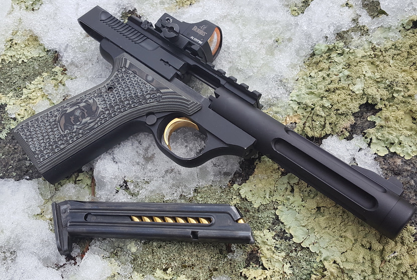Pistol Plinking Danger Ranger Bear